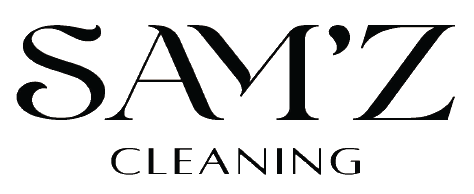 Cleaning logo